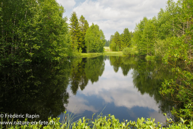 Etang