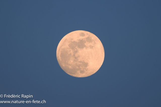 Lune