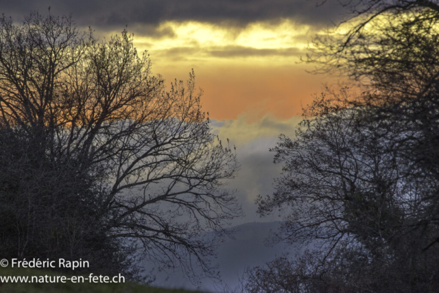 Soir de décembre
