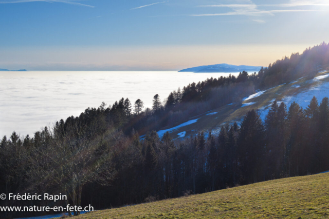 Depuis Mauborget