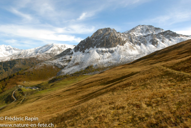 L'alpage de Bavon, Valais