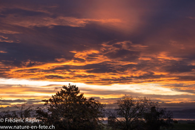 Matin de novembre