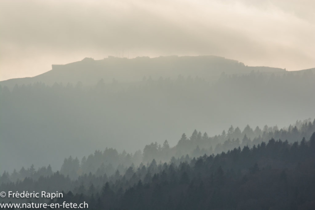 Le Chasseron dans la brume