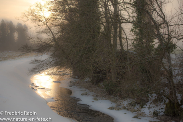 Soleil et brouillard au bord de l'Arnon