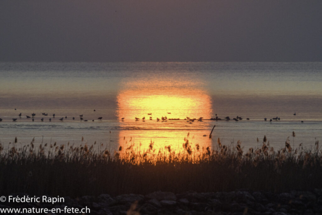 Coucher de soleil au Fanel