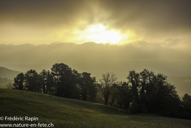 Matin d'octobre