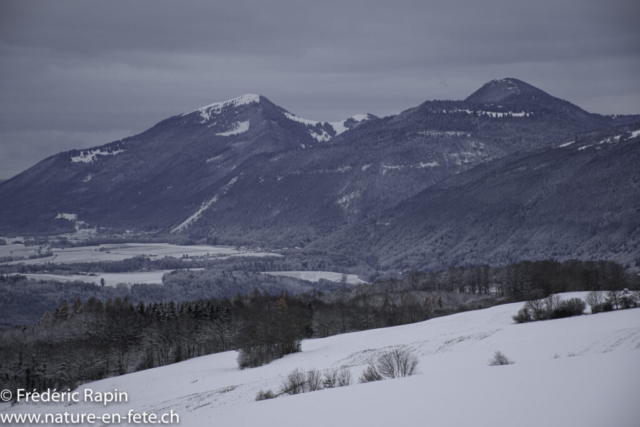 Le Suchet et le Mt-de Baulmes