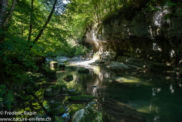 Les gorges de l'Orbe en été