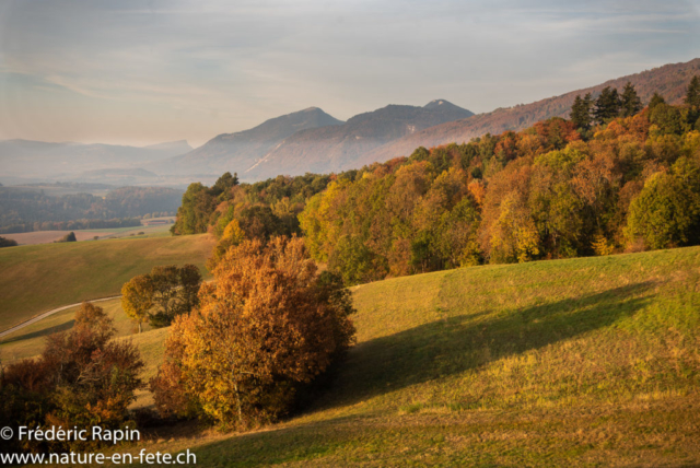 Sur les hauts de Fontaines