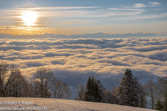 La mer de brouillard