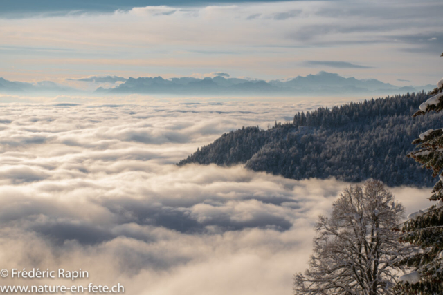 Mer de brouillard, depuis Les Rasses