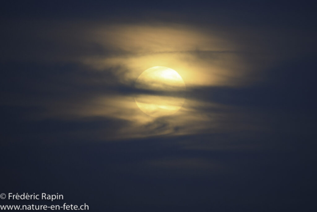 Lune