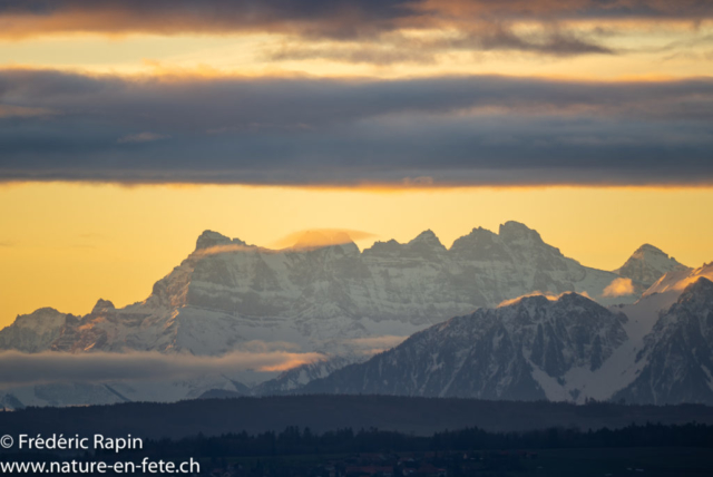 Les Dents-du-Midi au soleil levant