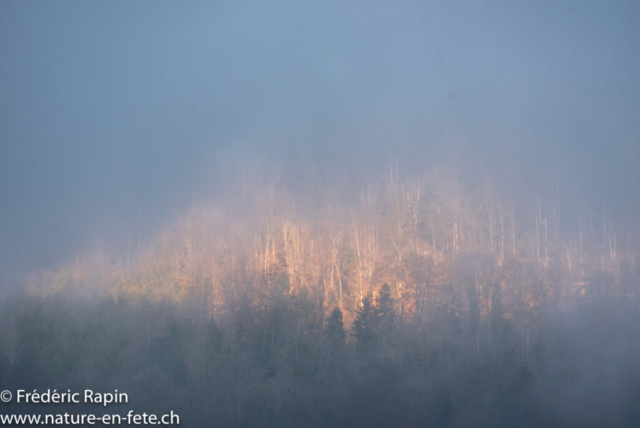 Le soleil perce la brume matinale