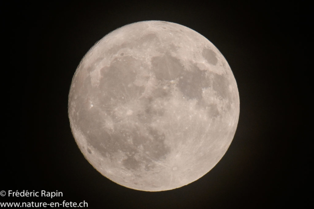 Lune de novembre