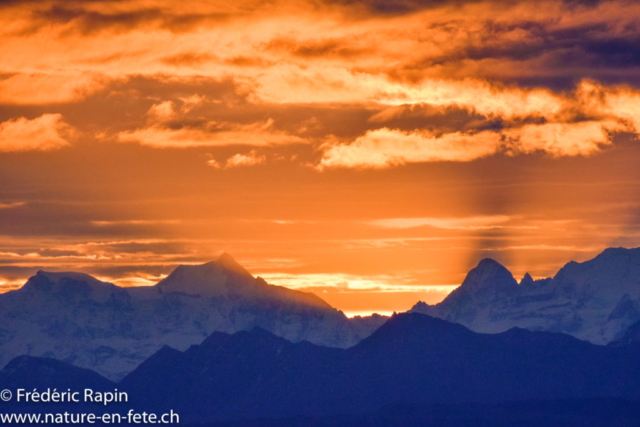 Lever de soleil sur les Alpes