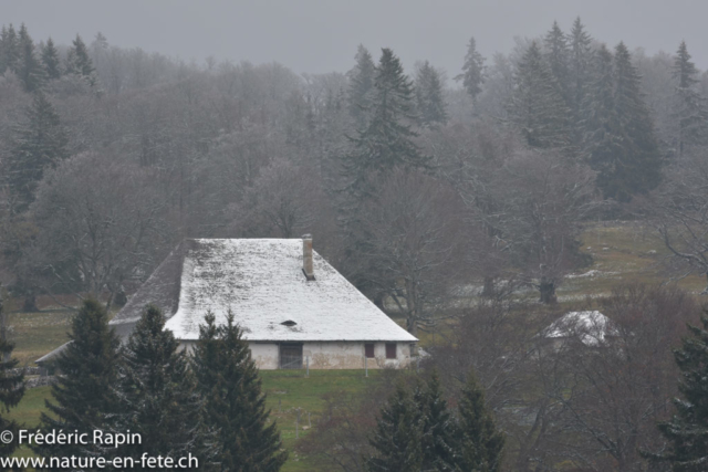 Première neige à la Redalle, Mauborget