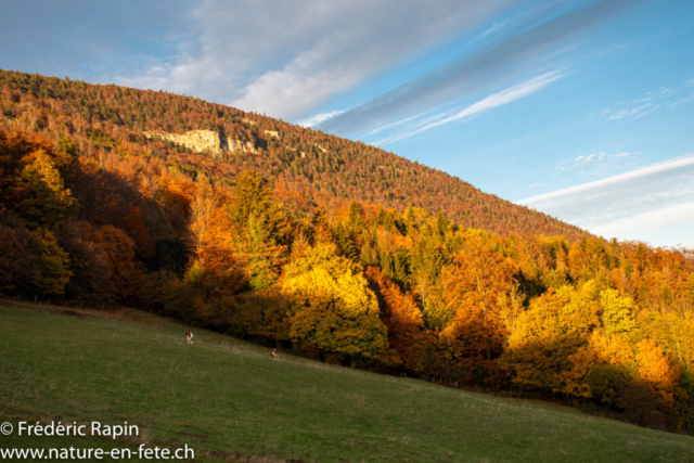 Les roches du Mt-Aubert