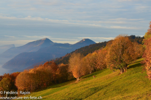 Feuillages d'automne à Mauborget