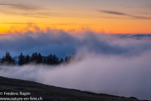 Soir de novembre au Jura