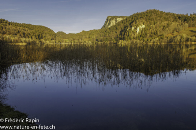Le Lac Brenet