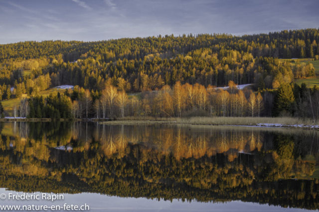 À la tête du Lac de Joux