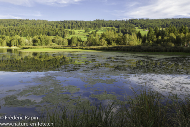 Lac de Joux