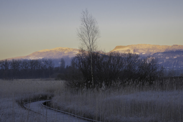 Matin d'hiver à Champ-Pittet