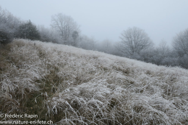 Sur les hauts de la Chassagne d'Onnens