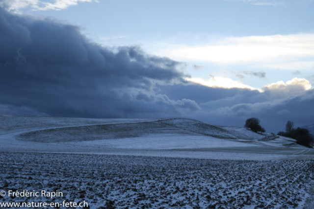 Entre Onnens et Corcelles