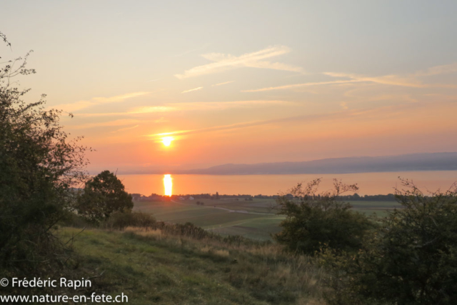 Sur les hauts de la Chassagne d'Onnens