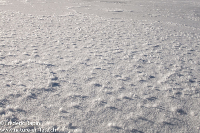 Cristaux de neige sur le Lac des Taillères