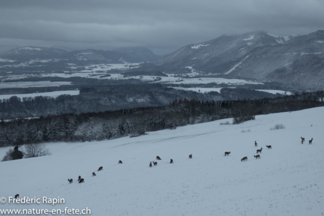 Matin d'hiver à Fontanezier