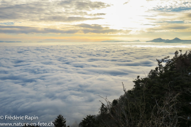 Mer de brouillard depuis le Mt-Aubert