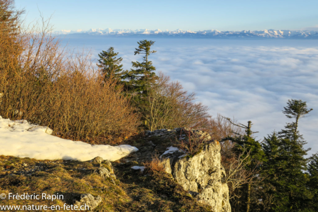 Sur les roches du Mt-Aubert