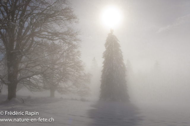 Soleil et brouillard