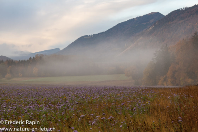 Couleurs d'automne au pied du Jura