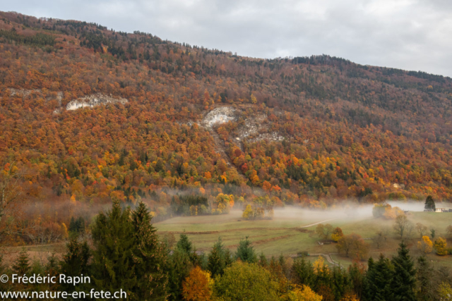 Les hauts de Vugelles