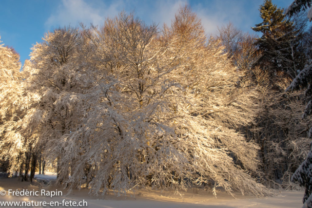 Soleil et neige