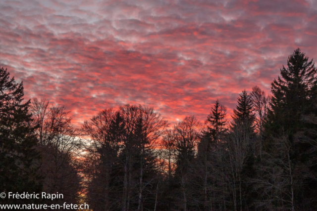 Coucher de soleil au Jura