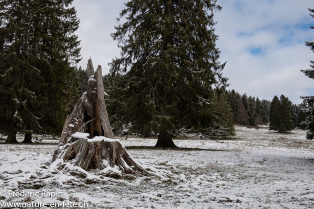 Première neige au Jura