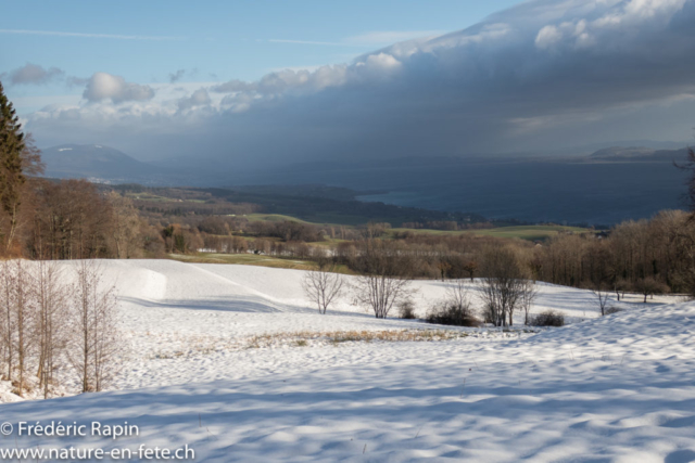 Le Lac de Neuchâtel depuis Mutrux