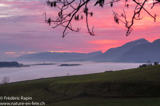 Brumes du soir au pied du jura